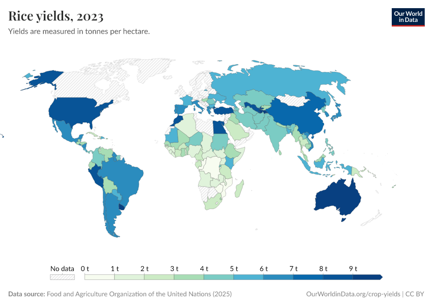 A thumbnail of the "Rice yields" chart